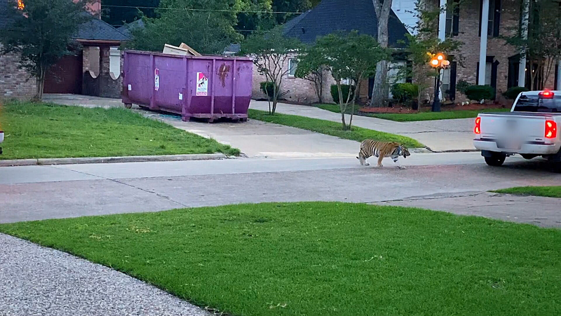 Neighborhood Wars S1E4 Meet the Neighbors!