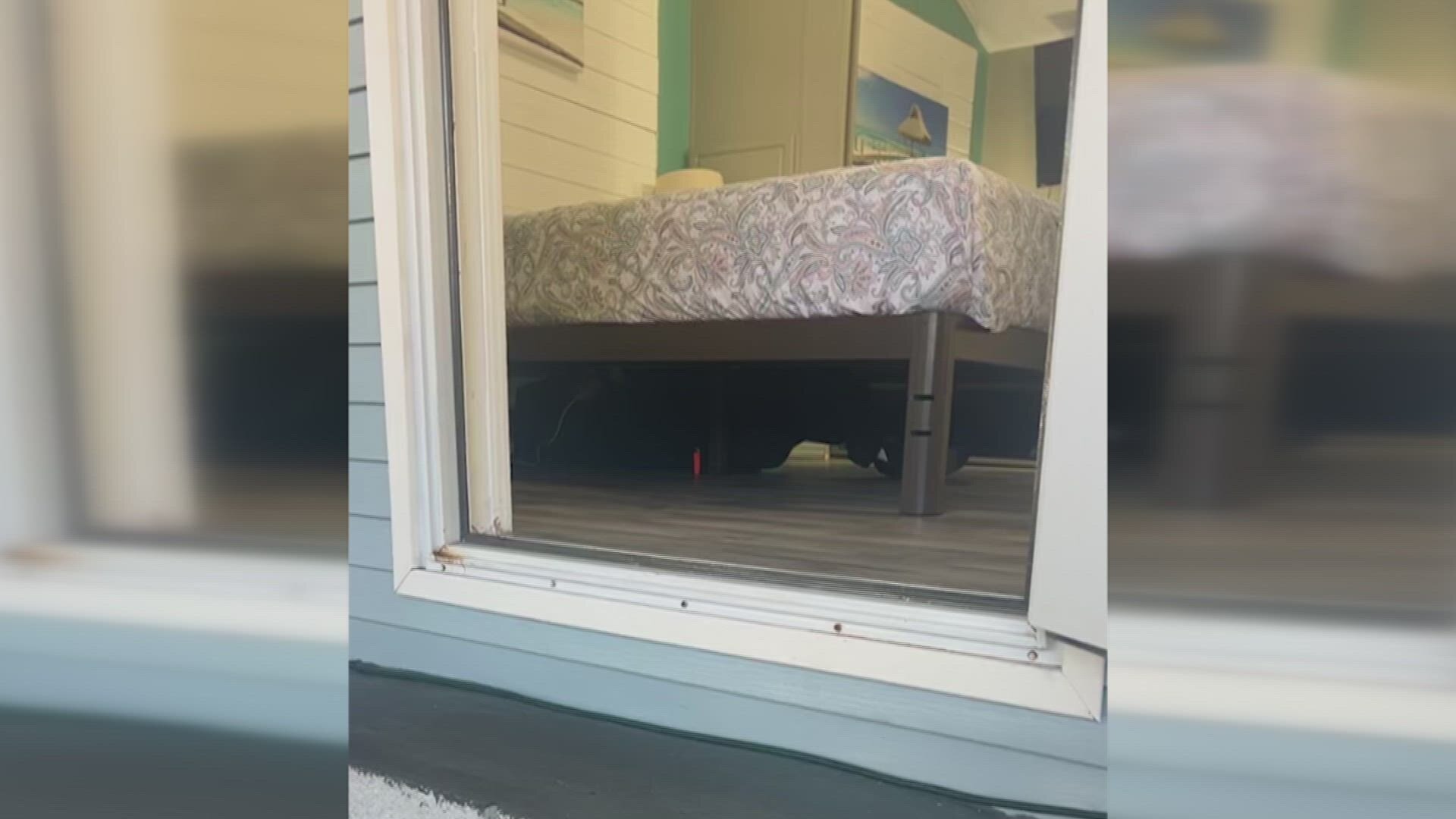 Neighborhood Wars S7E7 Neighbor Under My Bed