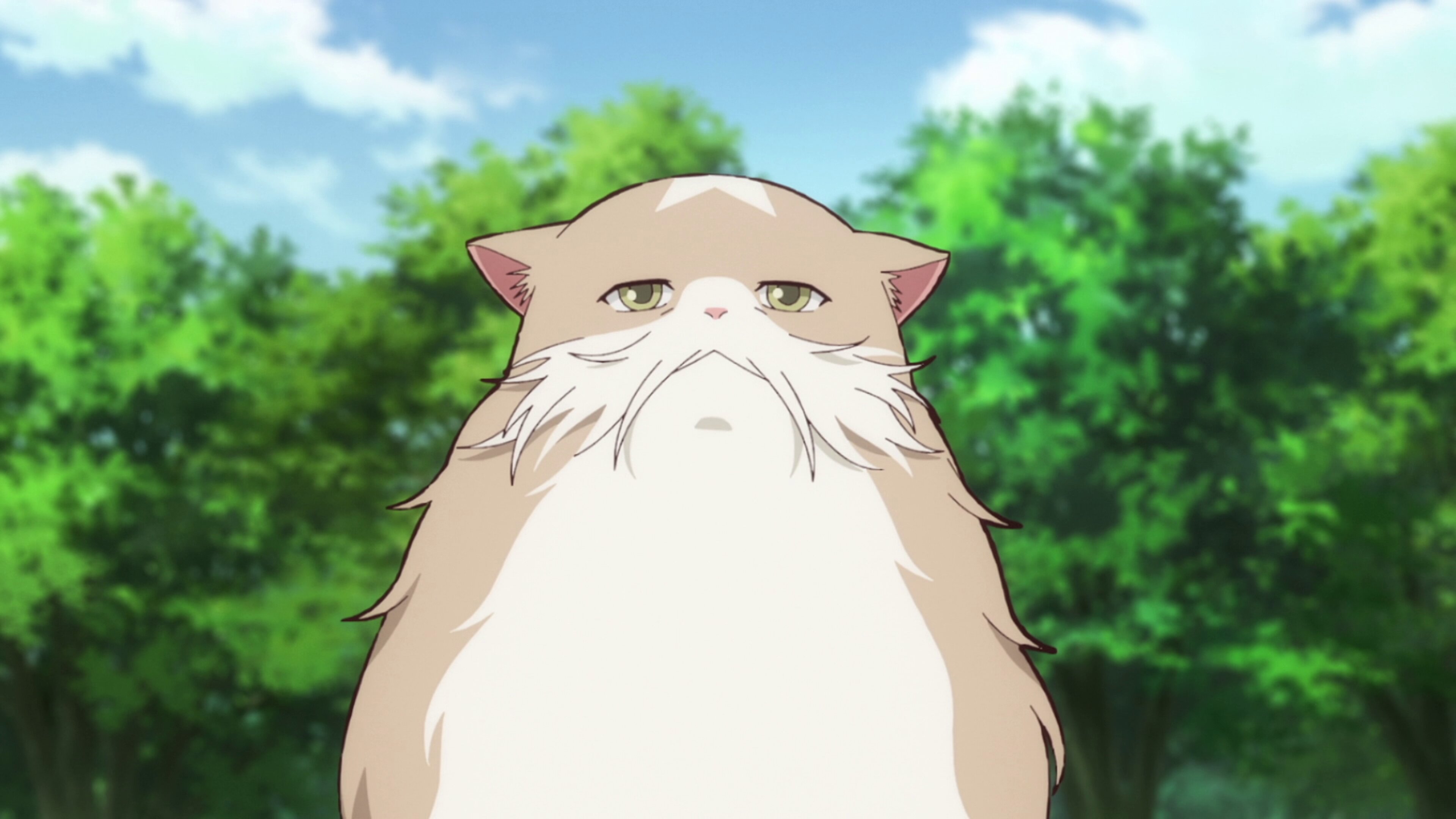 Neko to Ryuu S1E6 The Evening of Foxtails