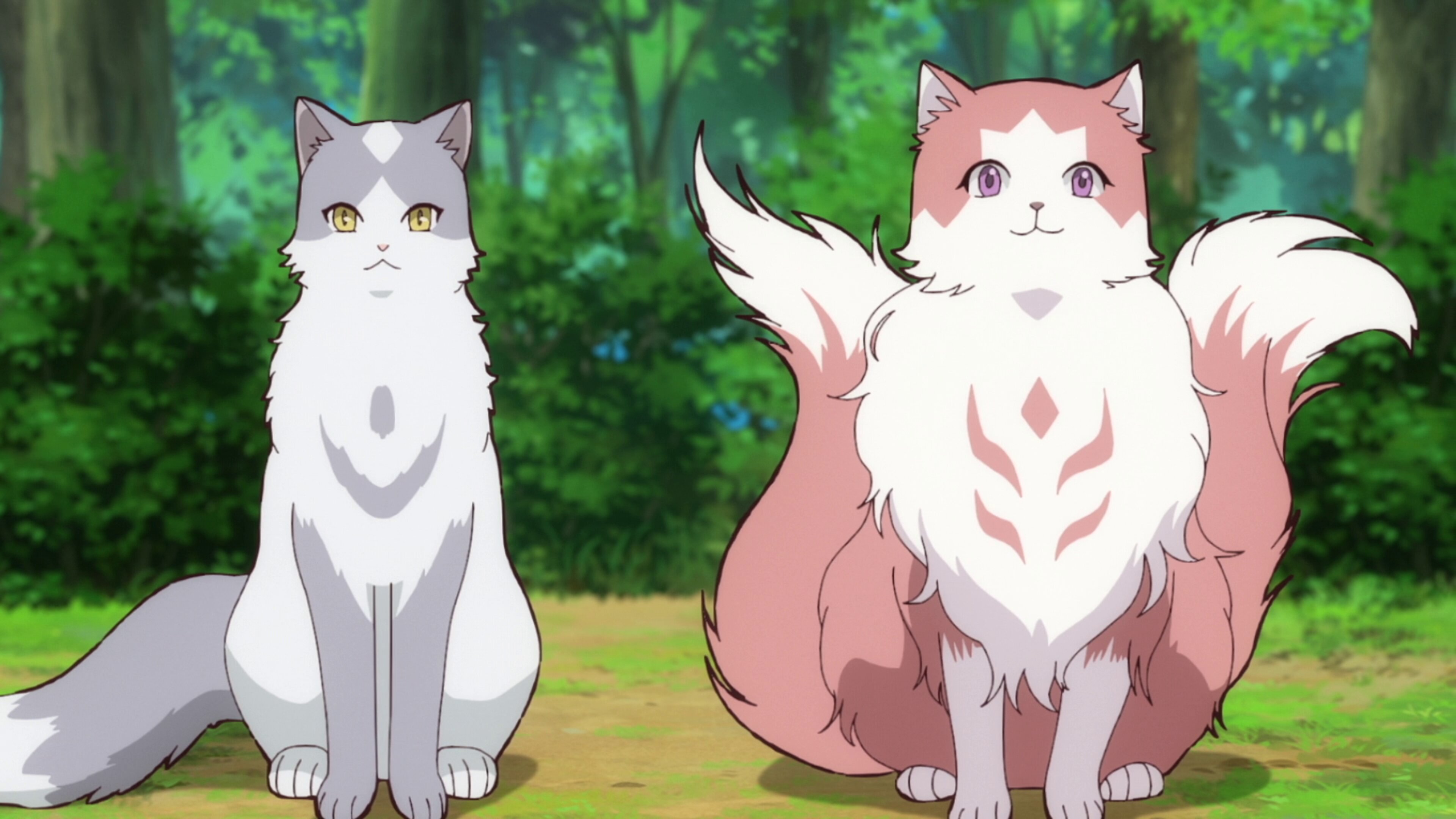 Neko to Ryuu S1E7 The Return of the Mother Cat