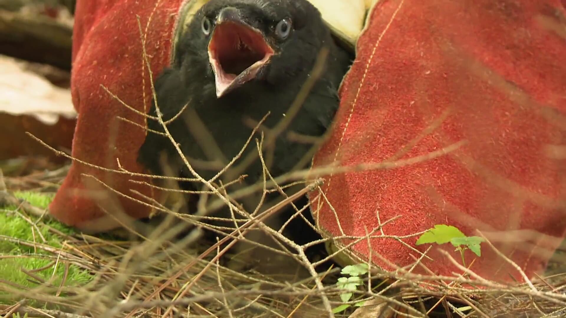 North Woods Law S10E3 No Room for Error