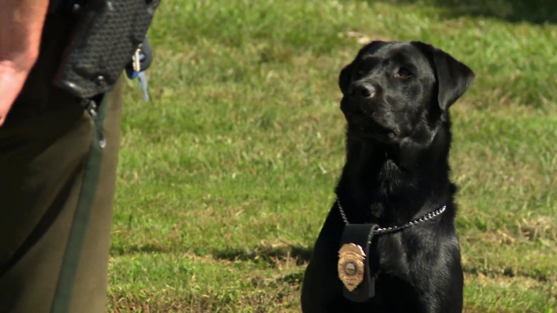 North Woods Law S10E9 Nothing to Hide