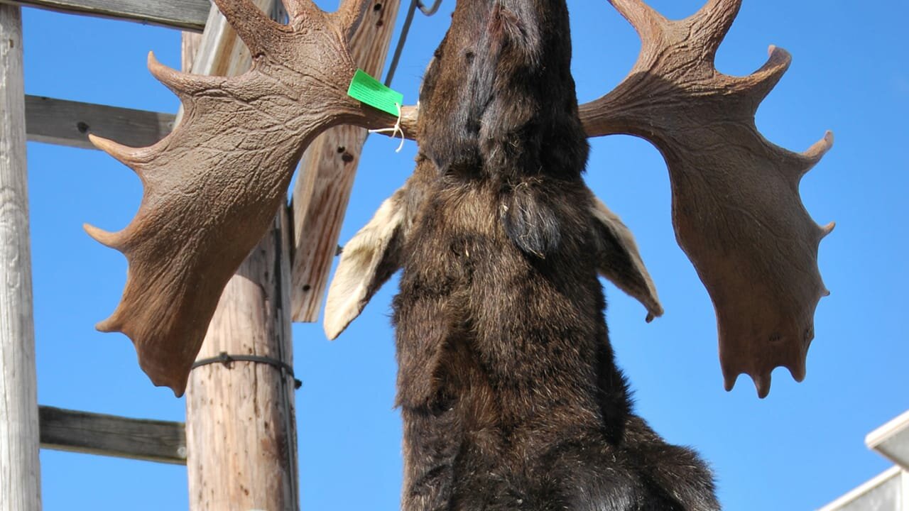 North Woods Law S2E6 Racking Up the Bad Guys