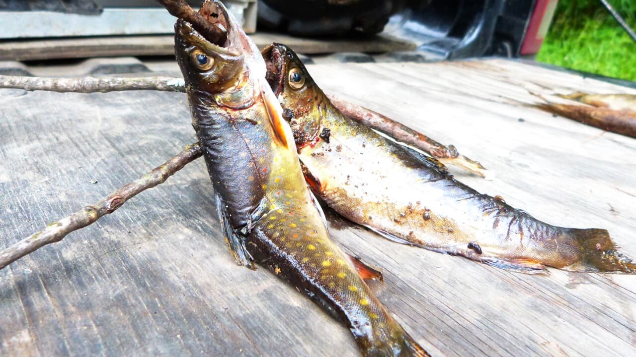 North Woods Law S3E6 Summer Heats Up