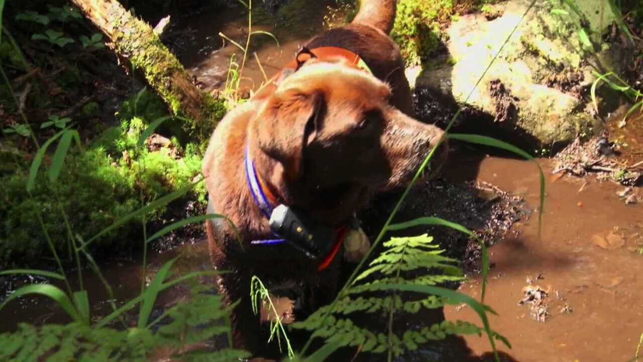 North Woods Law S3E9 Lost and Found