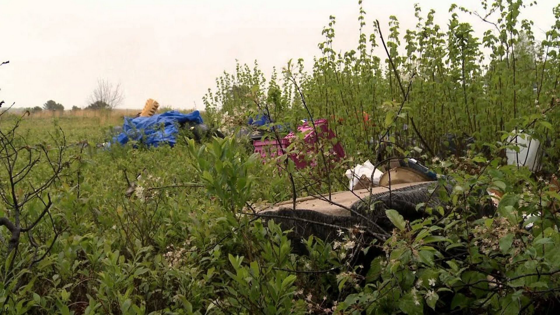 North Woods Law S6E3 Dirty Habits