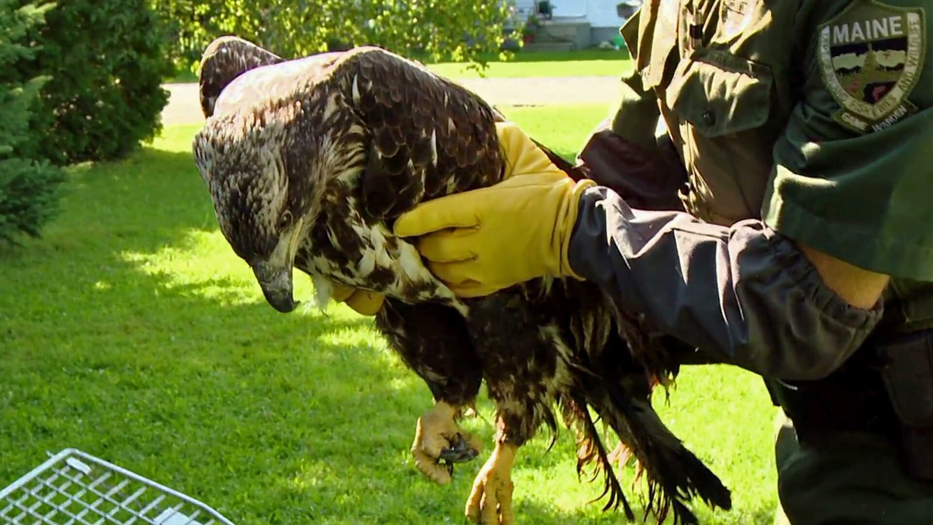 North Woods Law S7E1 Long Shot