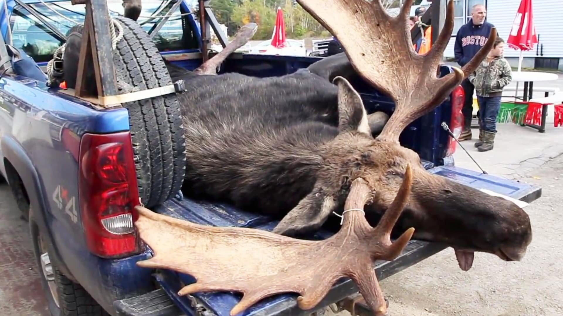 North Woods Law S7E4 Dead Moose Talking