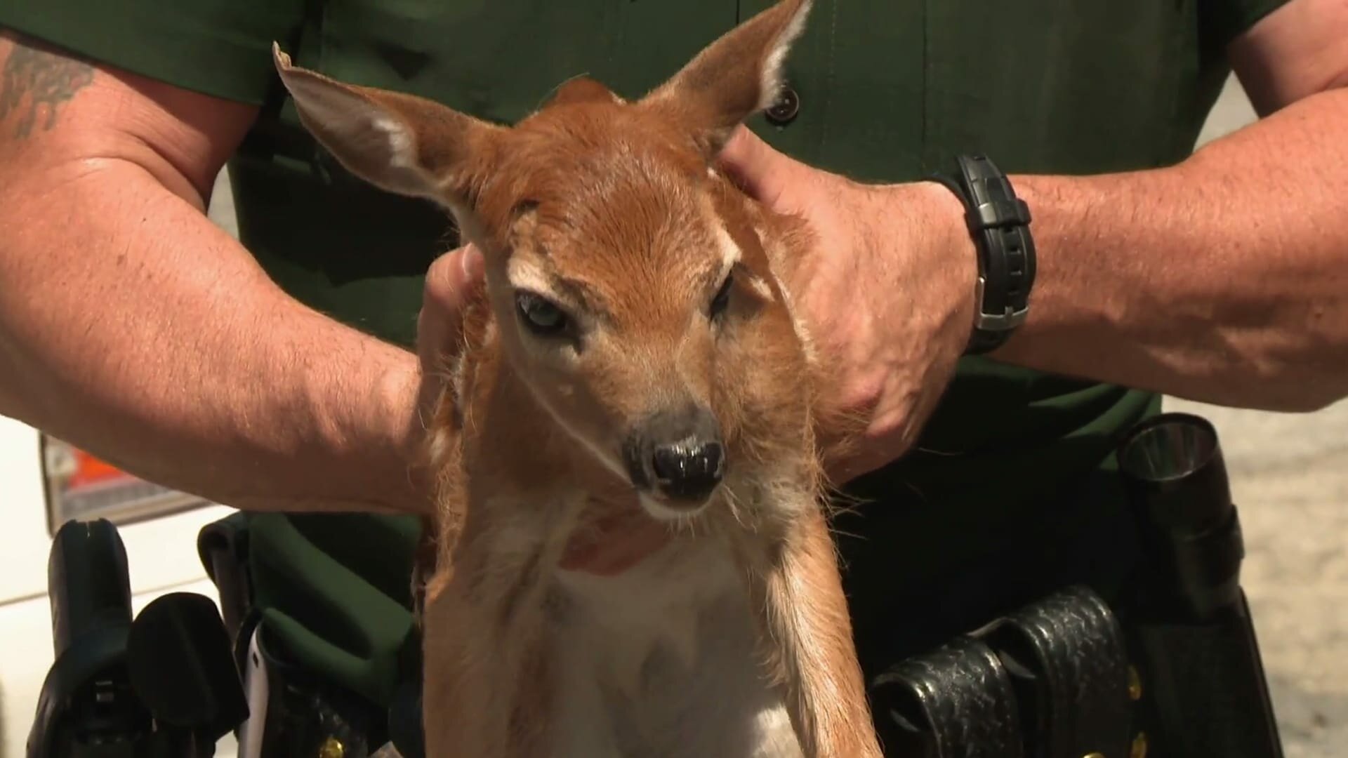 North Woods Law S9E2 On the Run