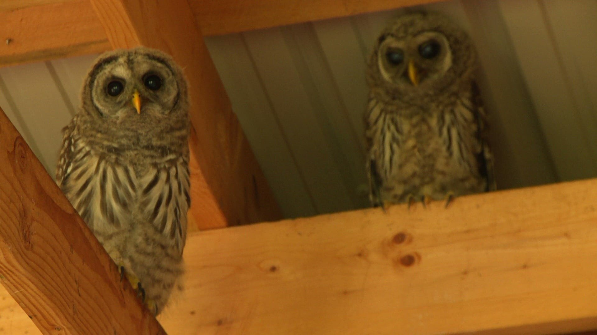 North Woods Law S9E5 Under Suspicion