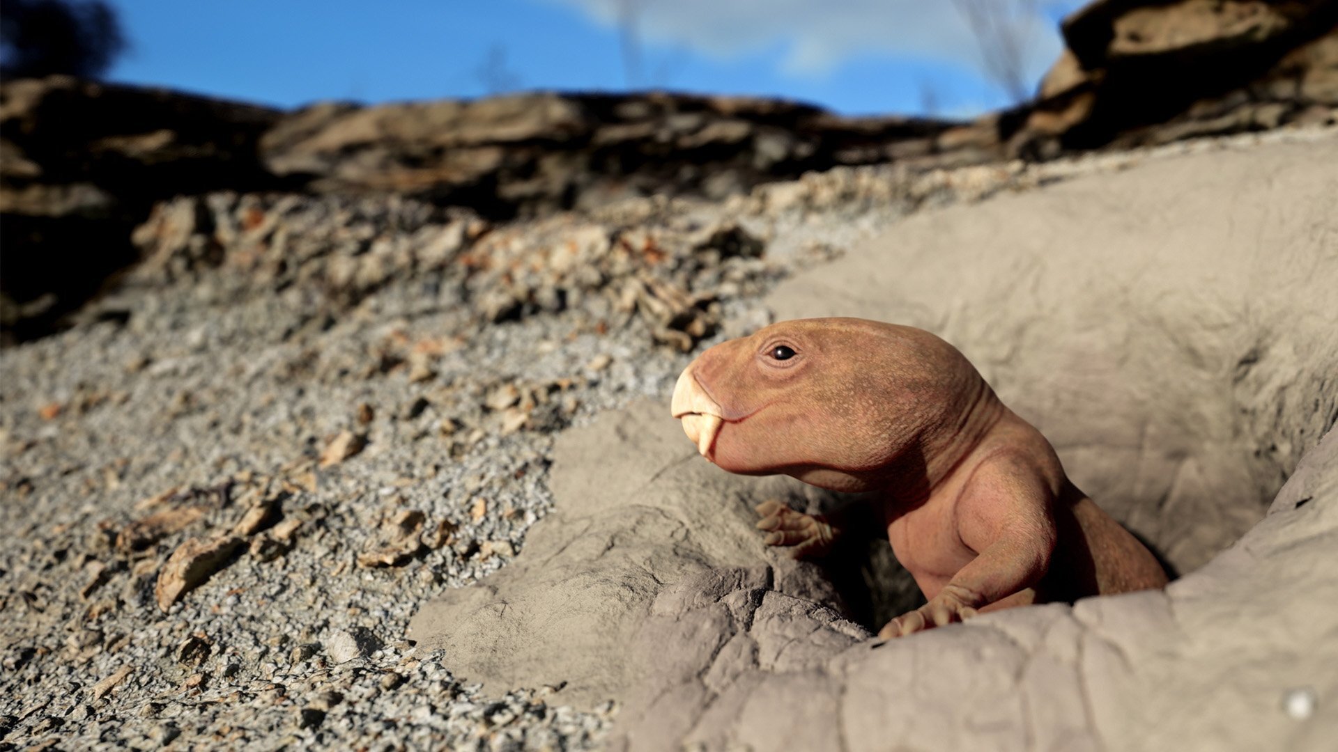 Nova S53E4 Mammal Origins