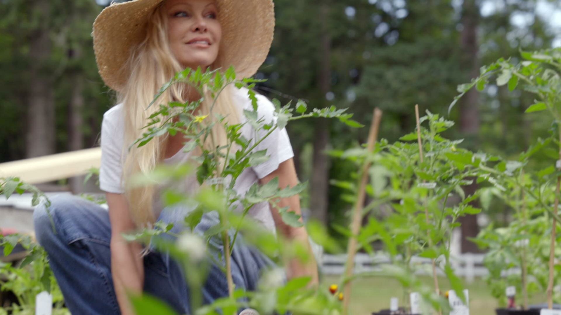 Pamela's Garden of Eden S2E7 Heart of the Property