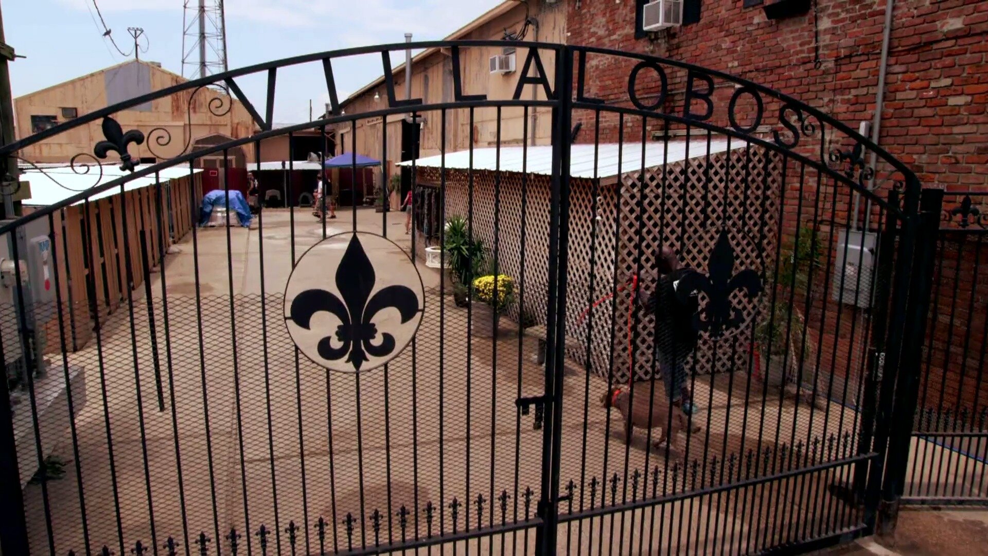 Pit Bulls and Parolees S8E1 New Frontiers