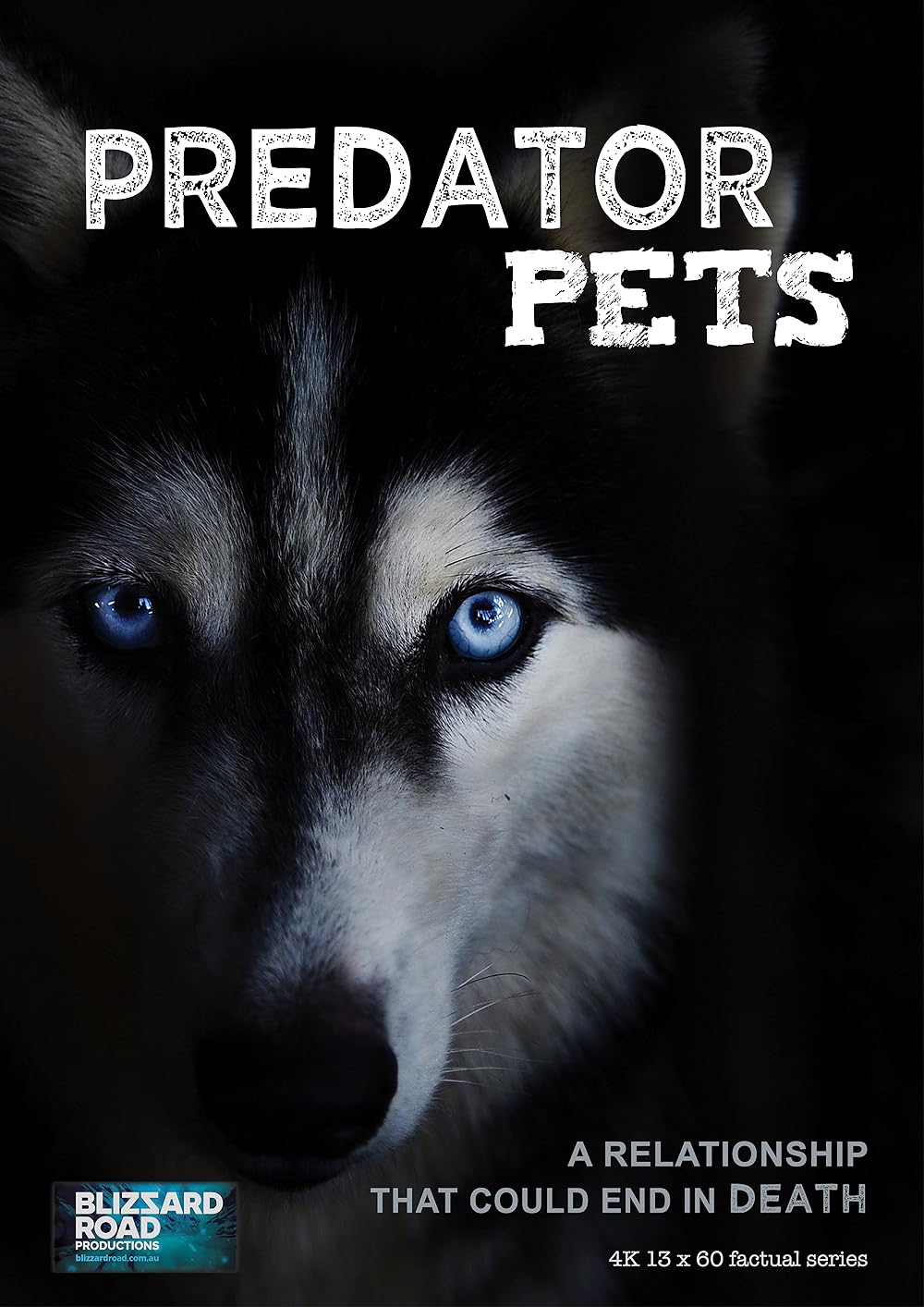 Predator Pets