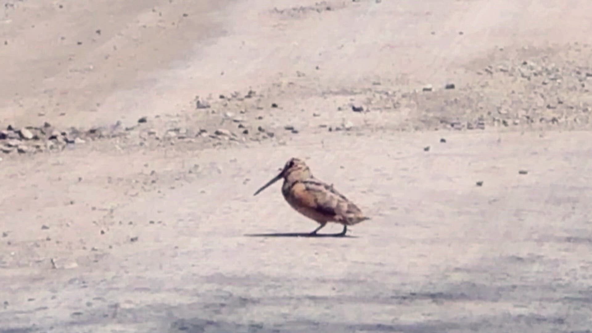 Road Wars S3E19 All Blocked Off