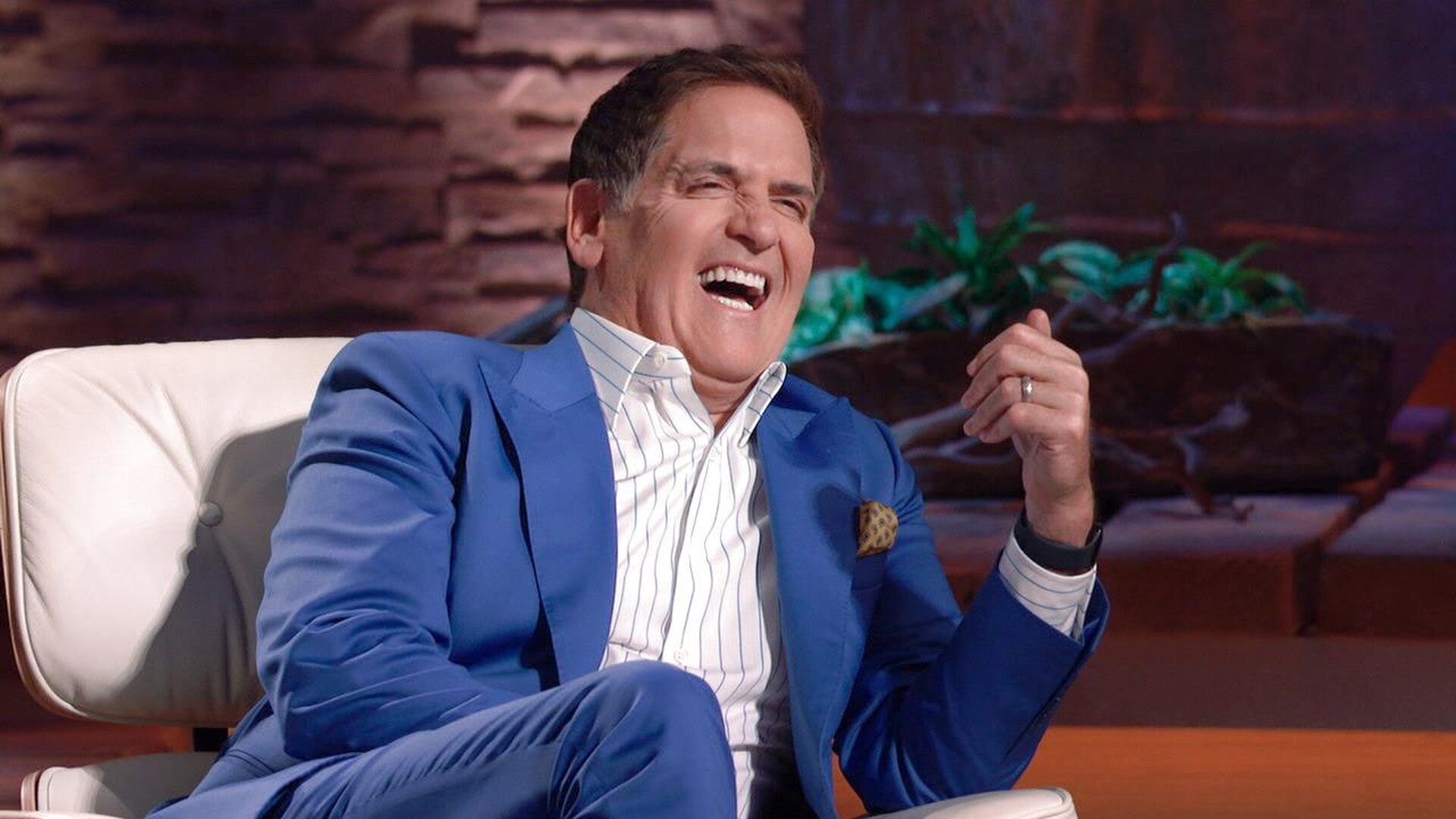 Shark Tank S16E17 Go Nutz; Frame Your Feline; Essence Aromatherapy Ring; Mad Mutz Mozzarella Sticks