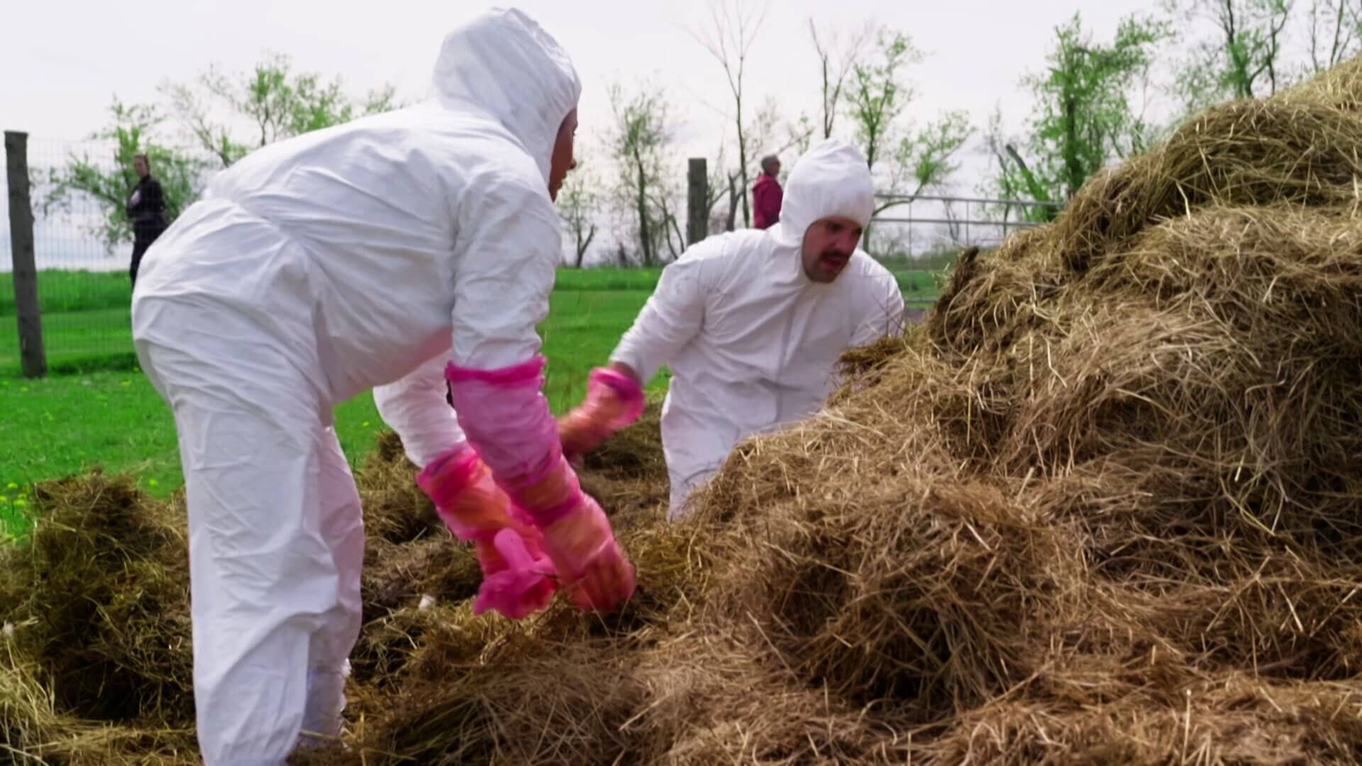 The Amazing Race Canada S10E8 Manure Time Baby!