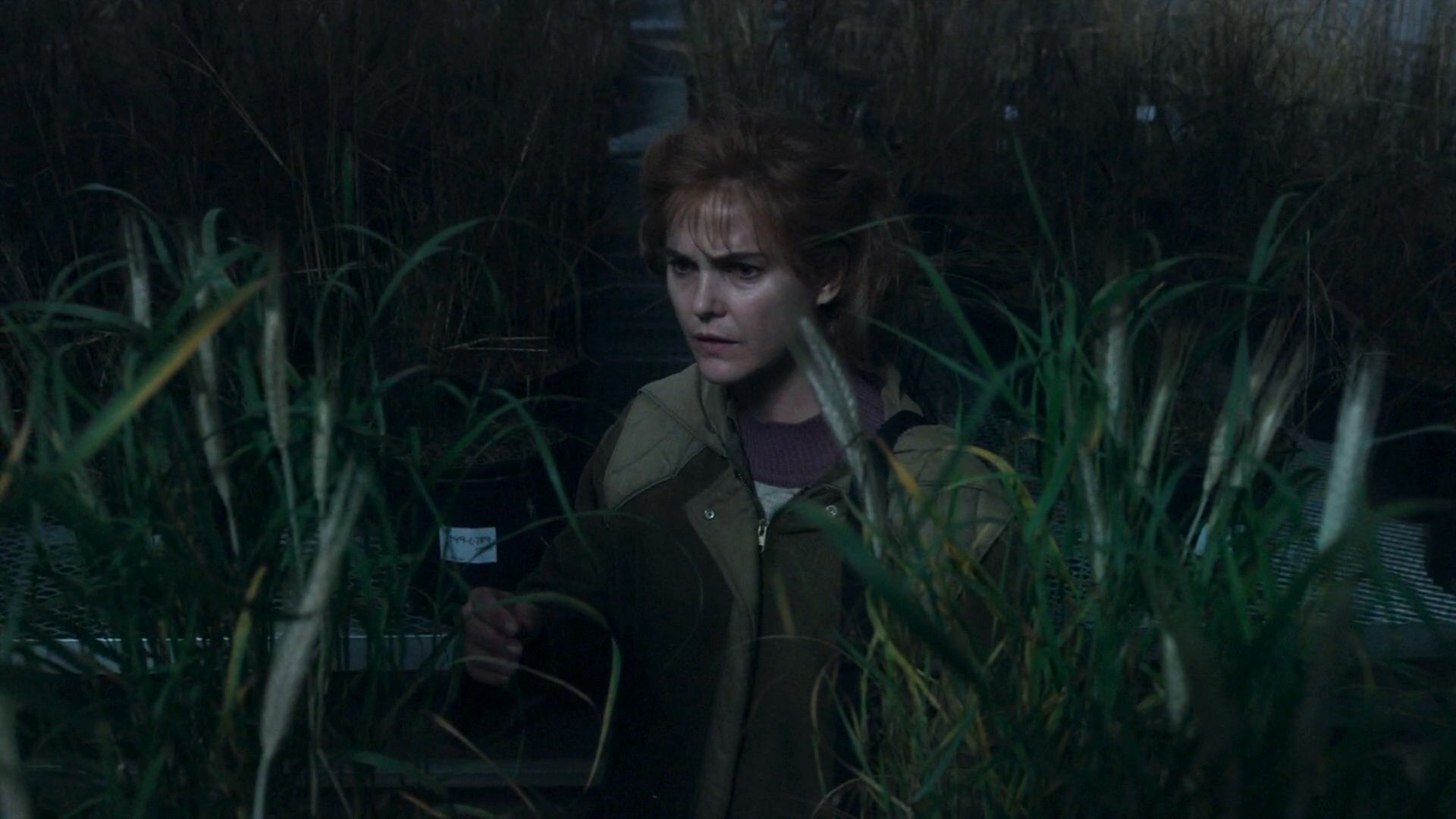 The Americans (2013) S5E2 Pests