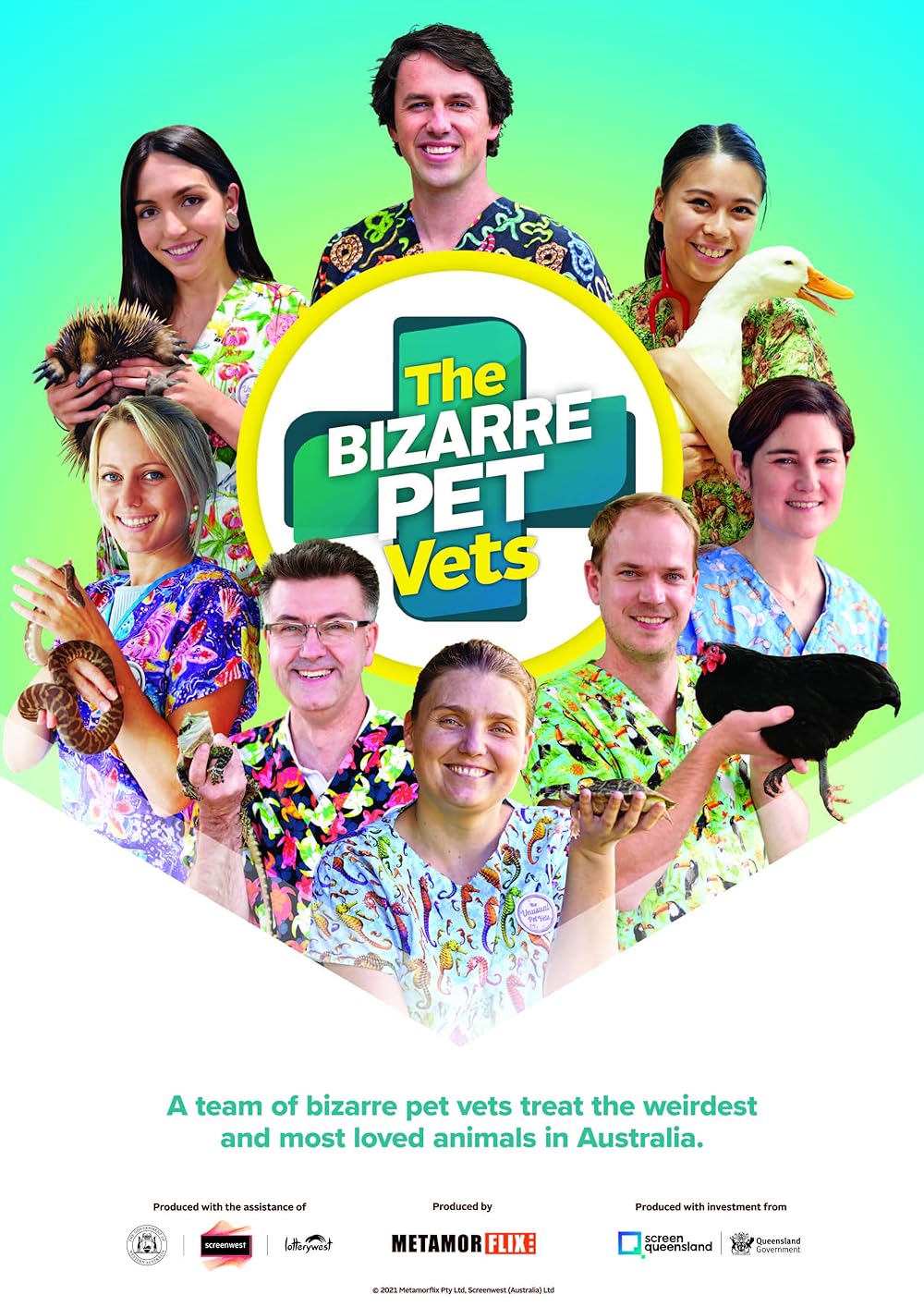 The Bizarre Pet Vets