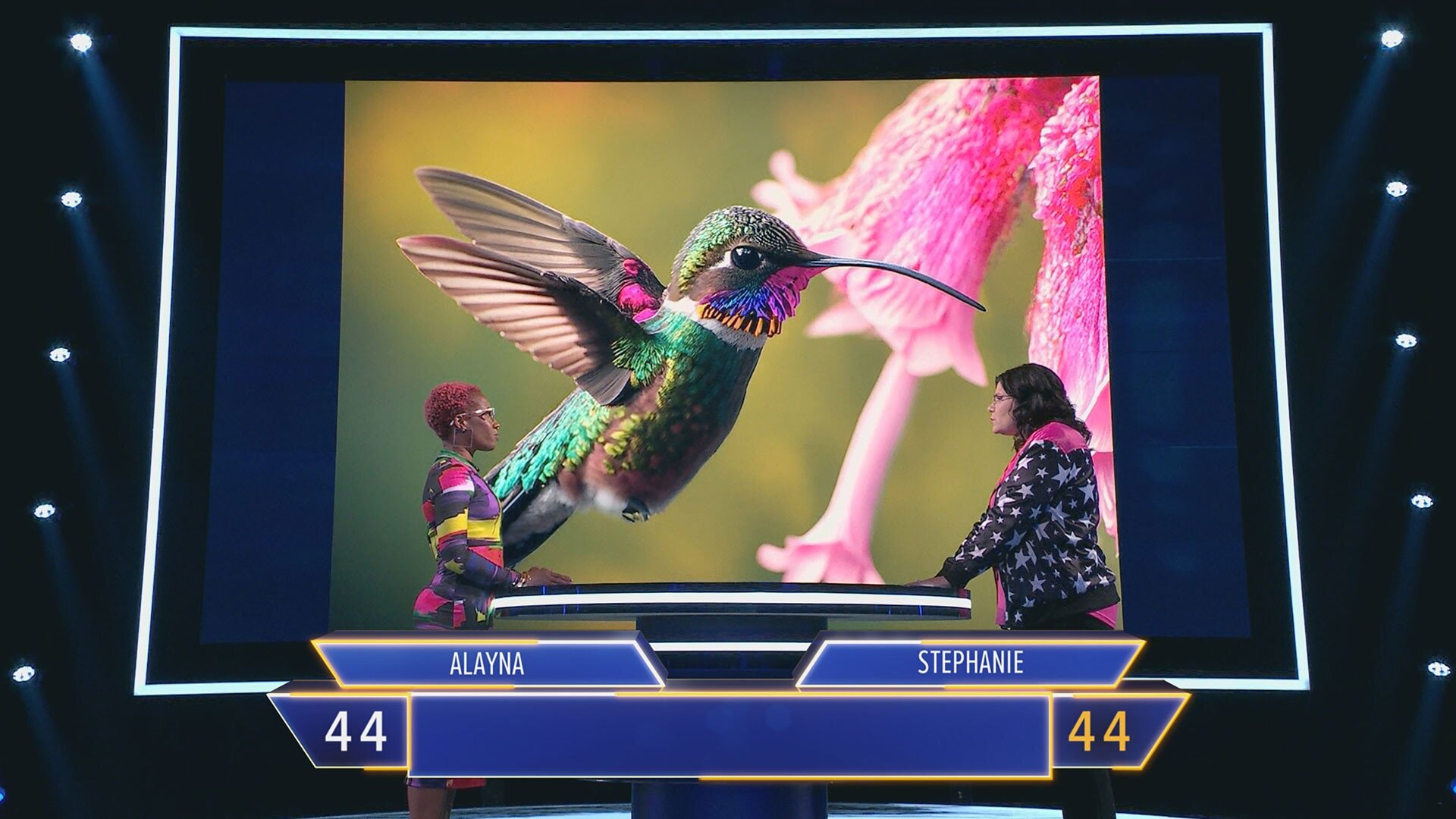 The Floor S1E5 I Did Not See That Coming