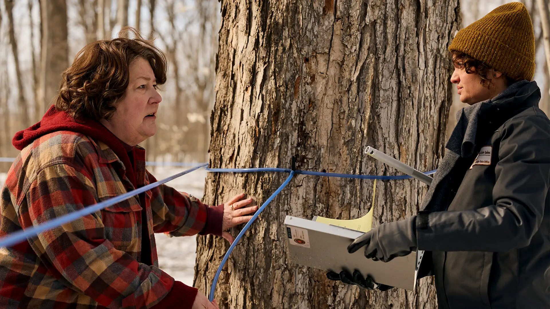 The Sticky S1E1 Petiole