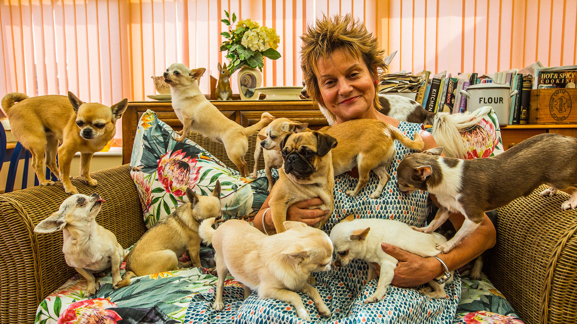 The Supervet S10E4 Betty Boop, Maya & Kanzi