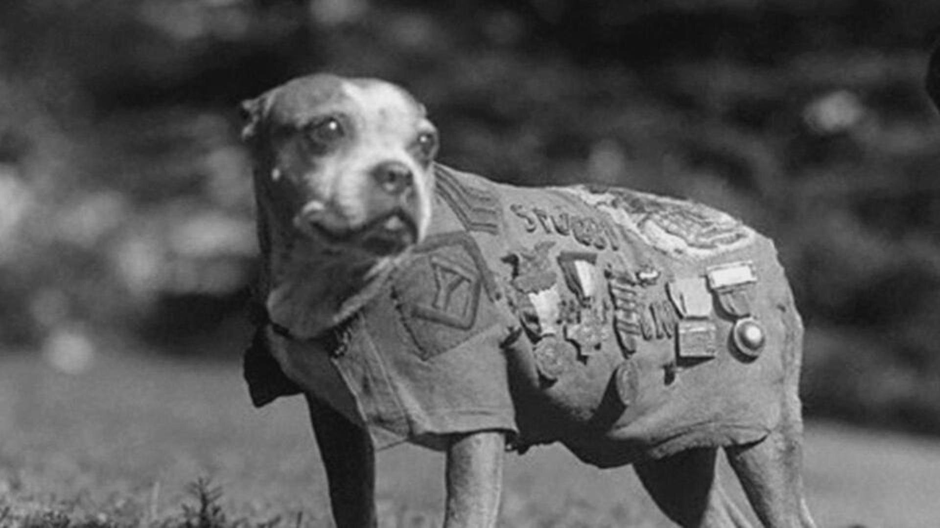 The Unbelieveable with Dan Aykroyd S2E3 Fantastic Beings