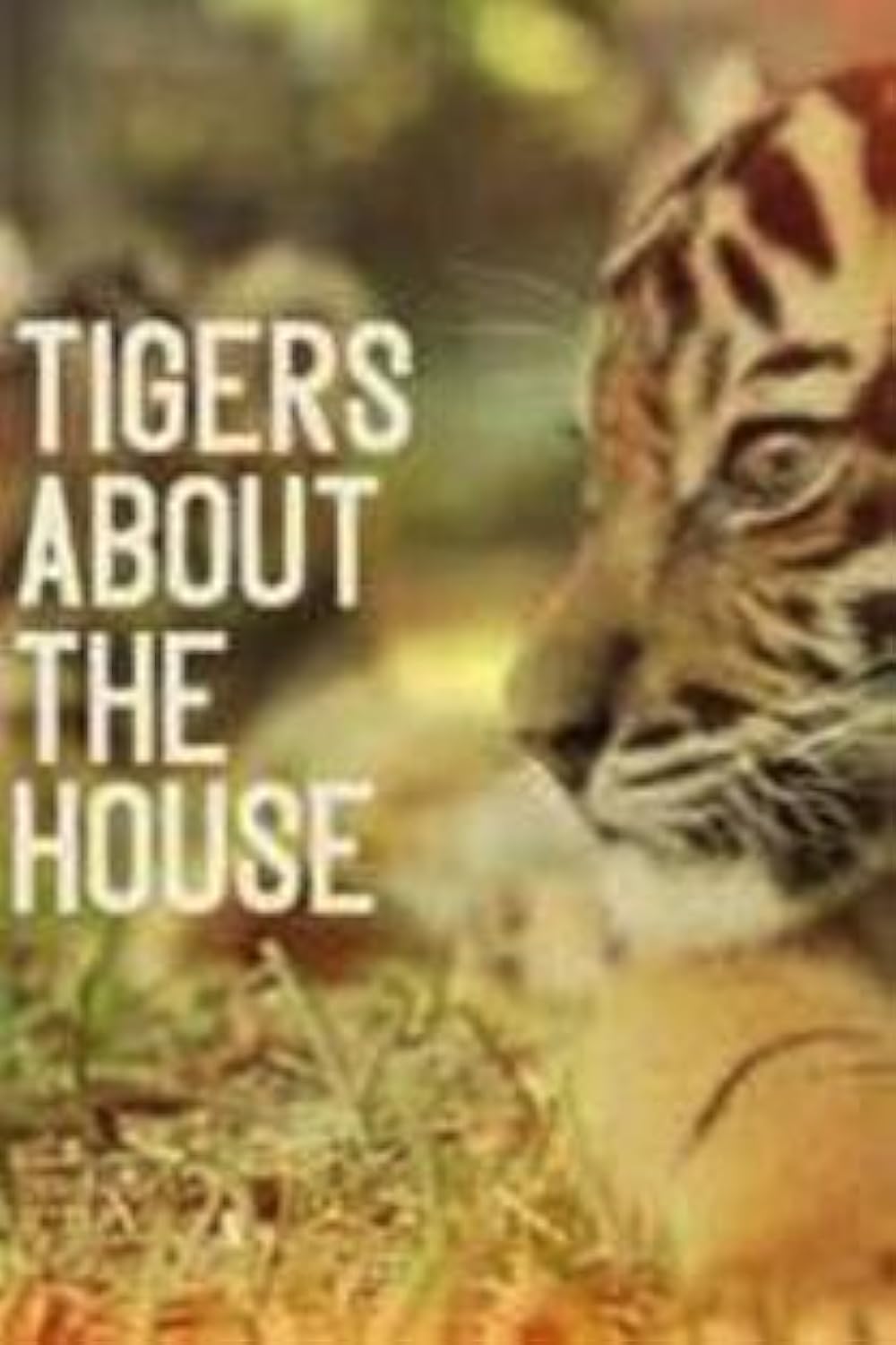 Tigers About the House