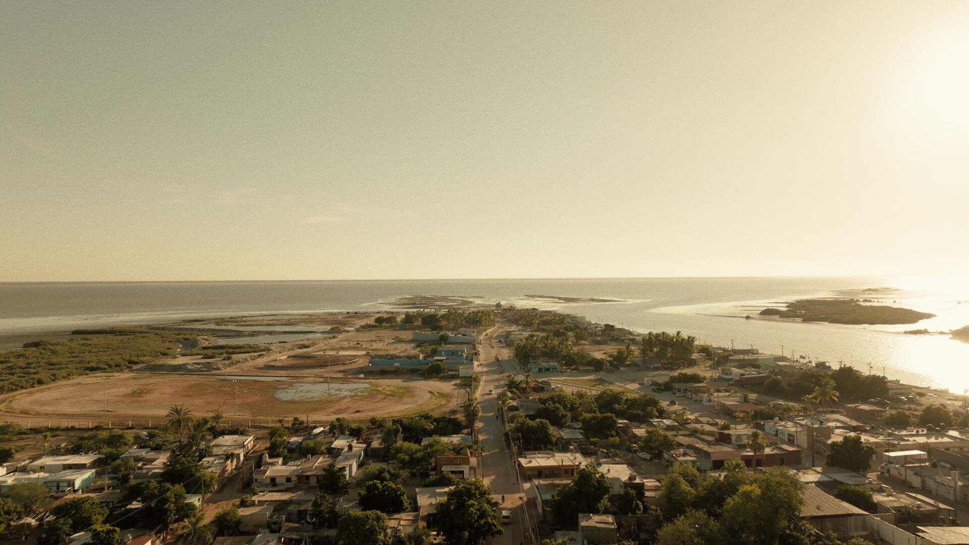 Trafficked with Mariana Van Zeller S5E10 Shark Hunters