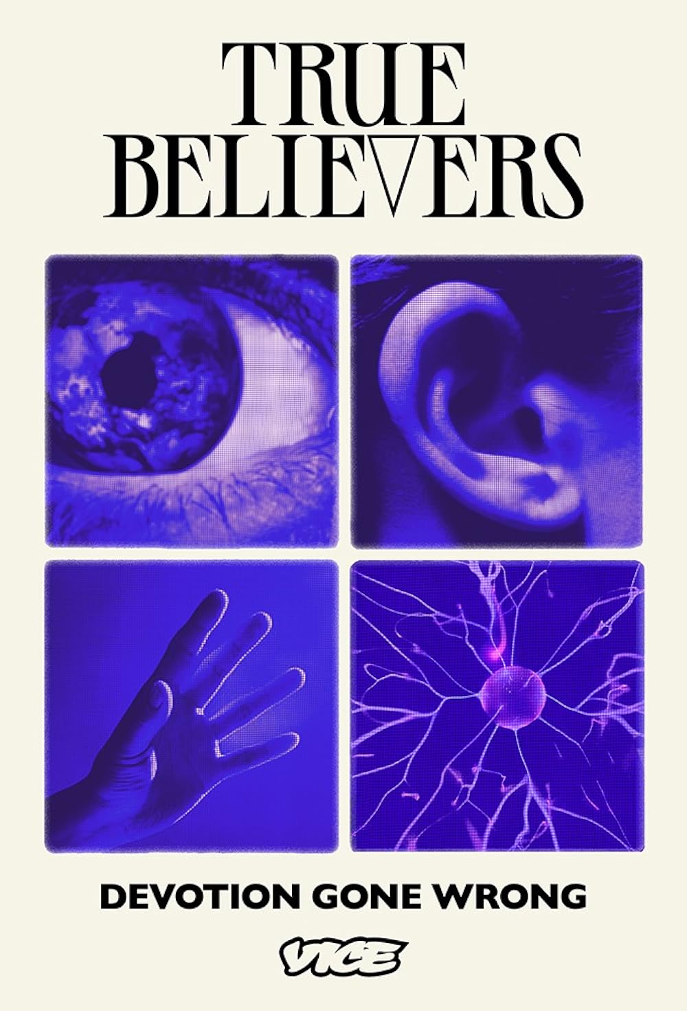 True Believers