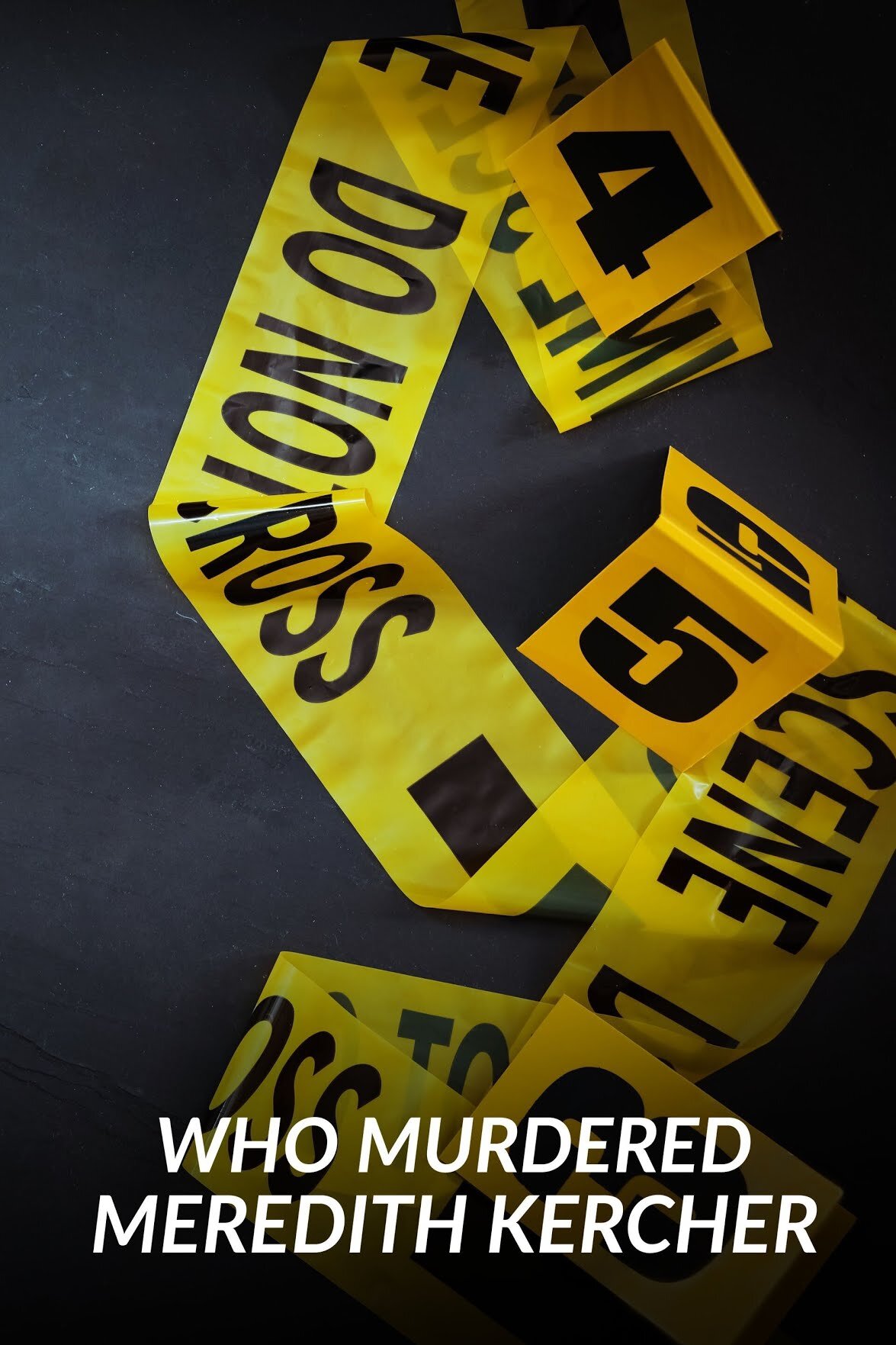 Who Murdered Meredith Kercher?