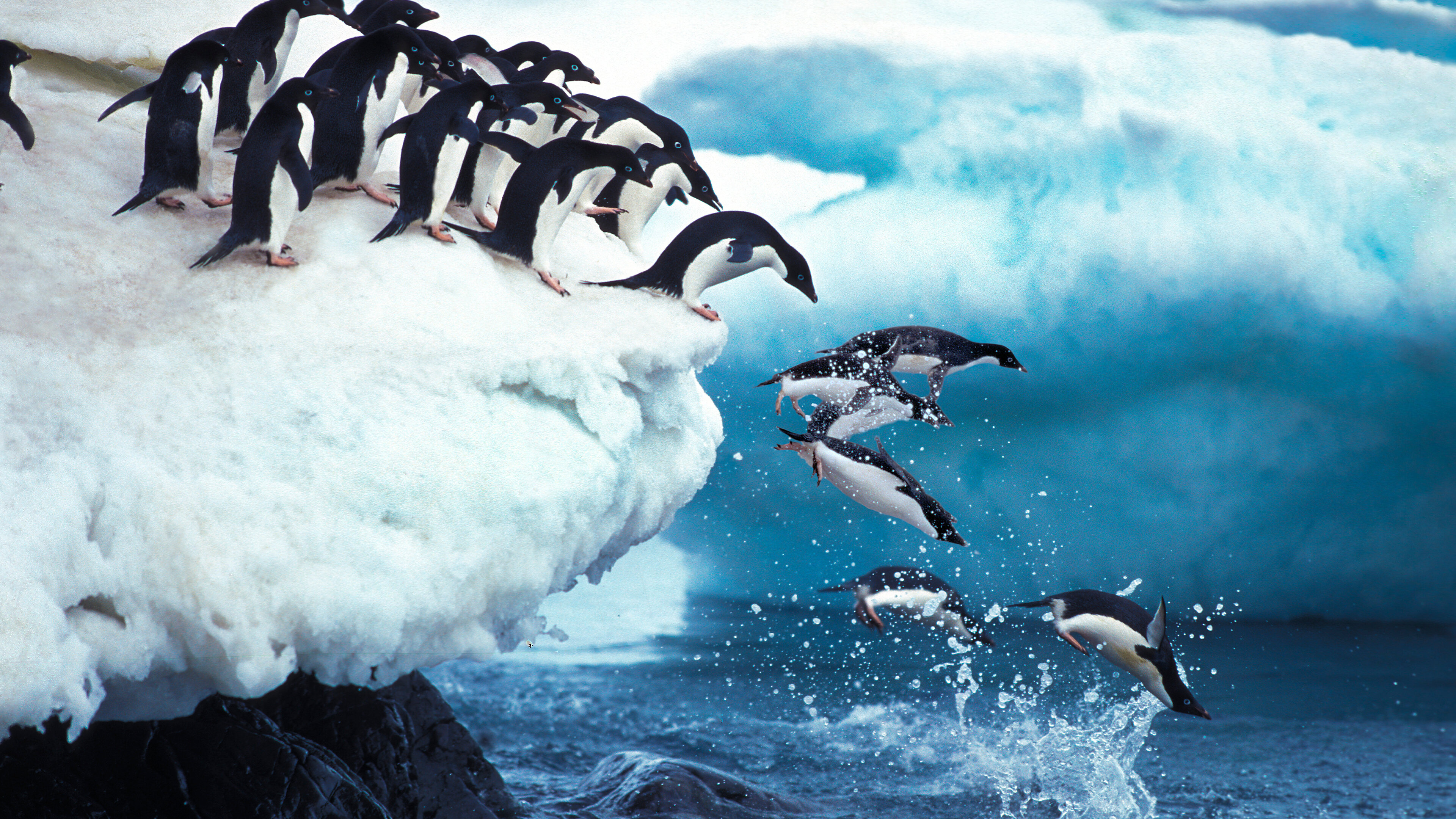 Wild Battleground S1E1 Cold Fury