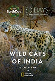 Wild Cats of India